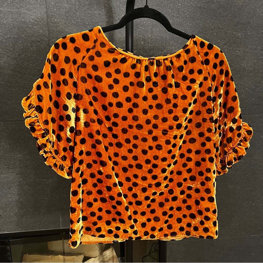 Madewell Velvet Leopard Ruffle Sleeve Top Size XS - Picture 4 of 16